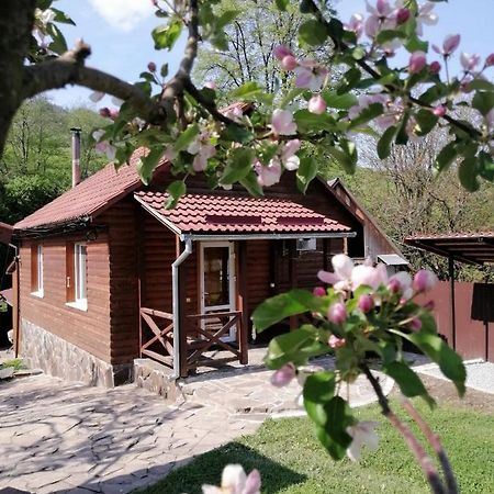 Зачаровані Карпати, Воловець Extérieur photo